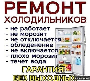 Ремонт холодильников любых марок и типов (включая двухкамерные