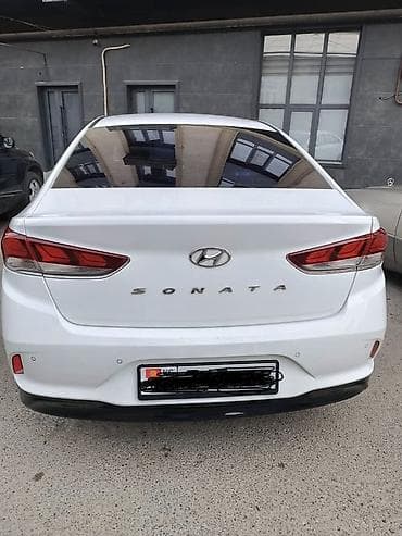 3д коврики: Hyundai Sonata: 2019 г., 0.2 л, Автомат, Газ, Седан — 5