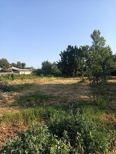 Земельные участки: 6 соток, Для сельского хозяйства — 2