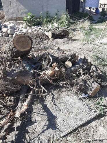 продать дрова оптом: Дрова — 5