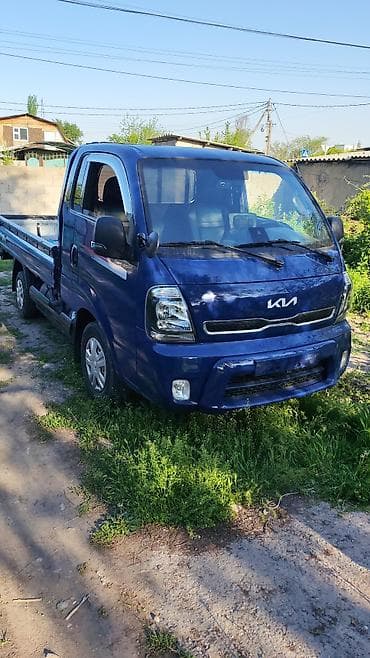 Легкий грузовик, Kia, Дубль