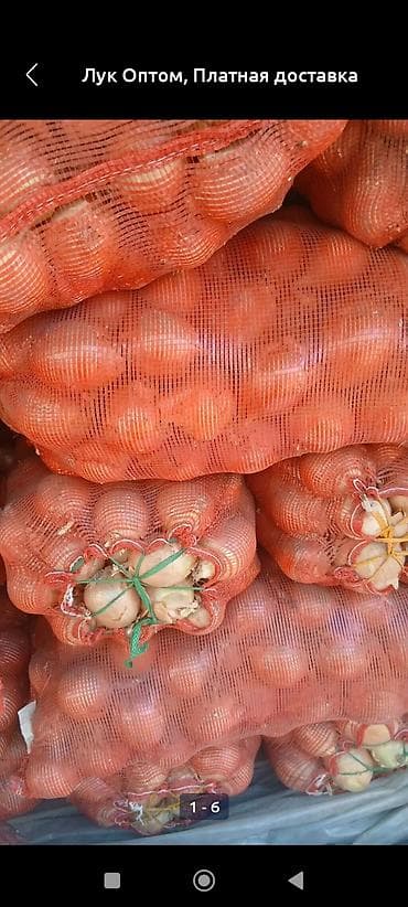 пакет упаковочный: Лук Оптом — 1