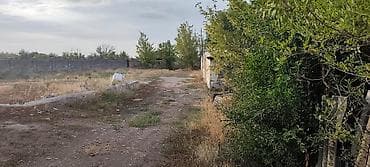 маленький участок: 1000 соток, Для бизнеса — 1