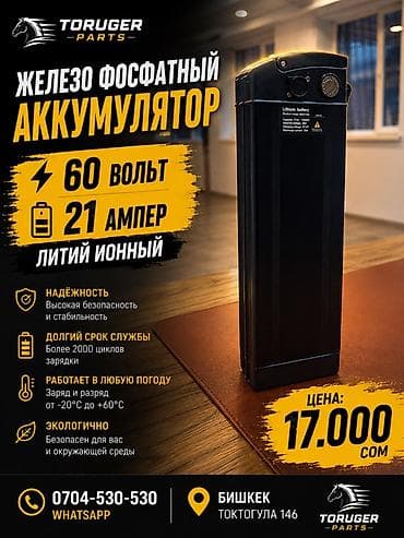 21: Литий-железо-фосфатные аккумуляторы TORUGER PARTS для — 1