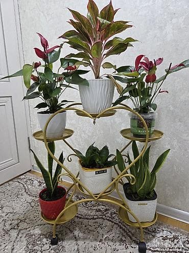 Полки, стеллажи: Полка, этажерка для цветов, Новый, Железо, Самовывоз — 2