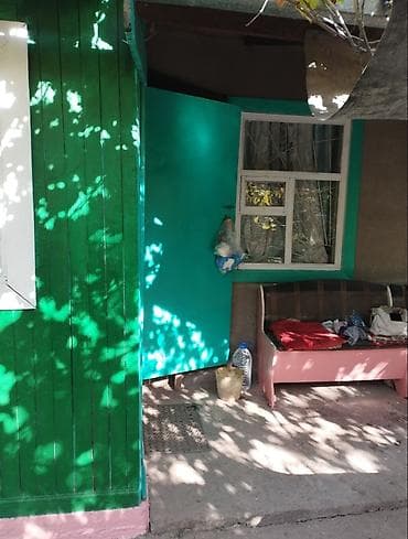 кара жыгач село: Дача с домом 2 комнаты, тенистой верандой и садом. Четыре сотки — 3