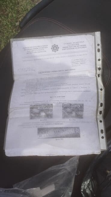 скутер мопед: Скутер (бензиновый) с повышенной защитой и багажным кофром Основные — 7