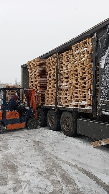 полеты: Поддон В наличии — 10