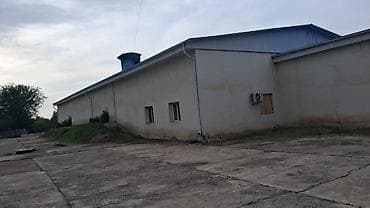 зап автовокзал: Складское/производственное здание с прилегающей открытой площадкой — 1