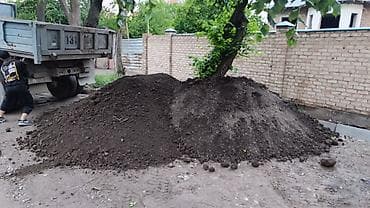 яблоки с сада: Чернозём плодородный для огорода, газона и ландшафта. Характеристики — 6