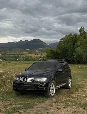 outback 2018: BMW X5: 2004 г., 4.4 л, Автомат, Бензин, Кроссовер — 4