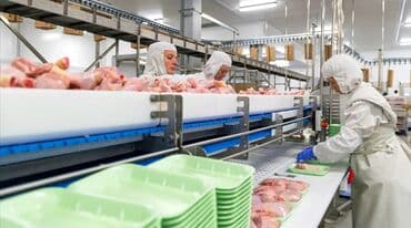 работа по сбору клубники: Требуется Упаковщик, Оплата: Дважды в месяц, Без опыта — 2