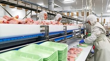 Требуется Упаковщик, Оплата: Дважды в месяц, Без опыта