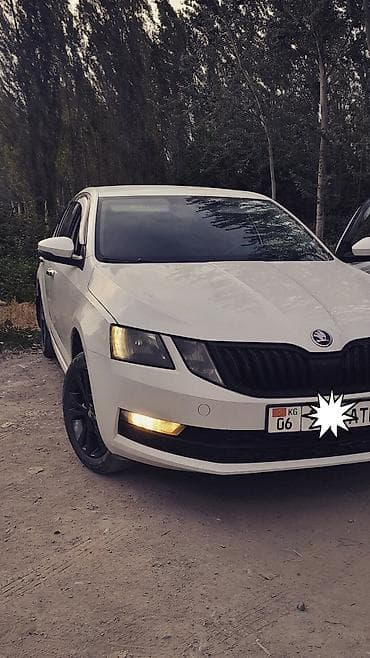 bmw e93: Skoda Octavia: 2018 г., 1.6 л, Автомат, Бензин, Лифтбек — 1