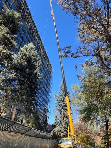 продажа комбайнов нива эффект в бишкеке цена: Кран | Стрела 39 м 25 т | Борт 39 кг — 2