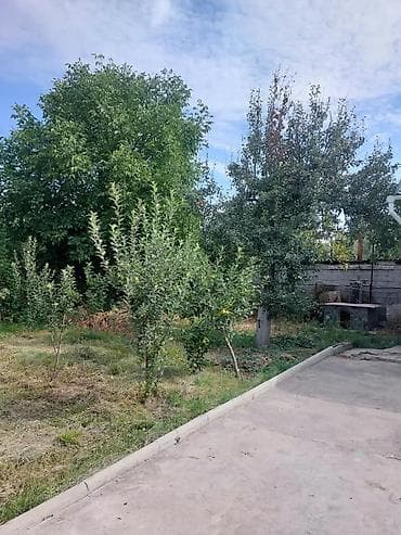 участок в новопакровке: 5 соток, Для строительства, Красная книга, Тех паспорт, Договор купли-продажи — 2
