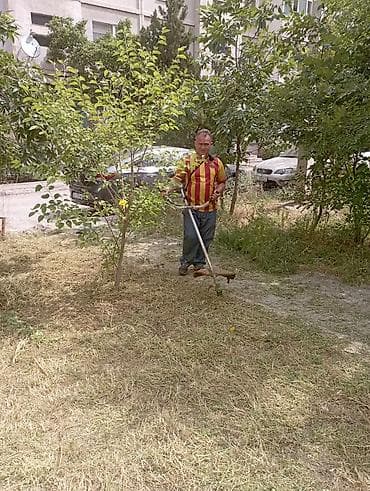 стригу газон: Уборка территории, Стрижка газона — 1