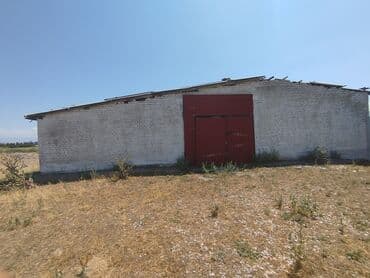 батир издейм: Продаю Кошара, 1700 соток, Действующий, С оборудованием, Электричество — 2