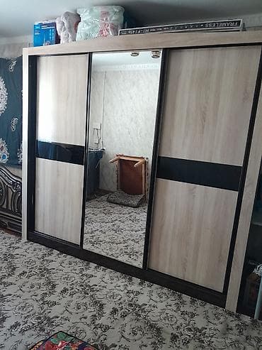 шкаф купе для одежды: Шкаф-купе с зеркалом - Габариты (см): длина 244, высота 214, глубина — 3