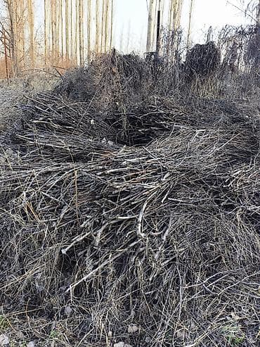 топор пожарный: Дрова — 2