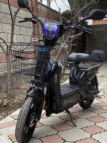 мото зашита: Электроскутер Panda (электровелосипед-скутер) в чёрном цвете — 1