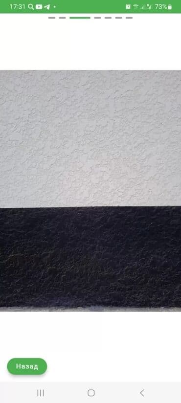 Дизайн, проектирование: Покраска наружных стен, На водной основе, Больше 6 лет опыта — 13