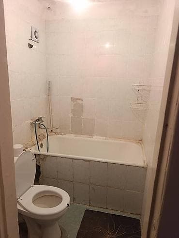 Кыймылсыз мүлк: 3 бөлмө, Менчик ээси, Жарым -жартылай эмереги бар — 5