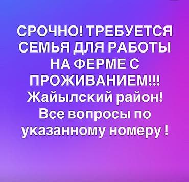 Вакансии: Вакансия: требуется семья для работы на ферме с проживанием — 1