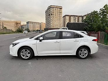 бампер на лупарик: Toyota Levin: 2021 г., 1.8 л, Автомат, Гибрид, Седан — 4
