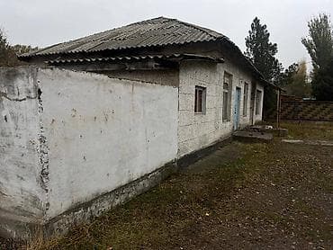 участки кара балта: 6 соток, Для бизнеса, Красная книга — 1