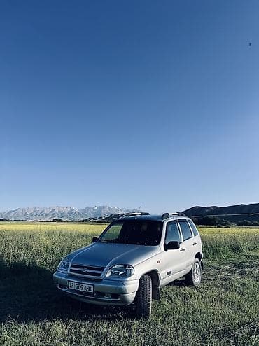торпеда на ниву: Chevrolet Niva: 2008 г., 1.7 л, Механика, Бензин, Внедорожник — 7