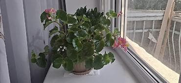 зеркало с ножкой: Декор для дома и сада, Самовывоз — 10