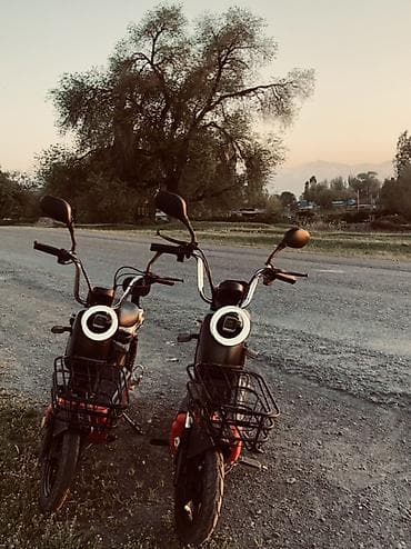 мотолер: Электро велик почти в идеале,вложение зеркала и сидушка заднее,в — 1