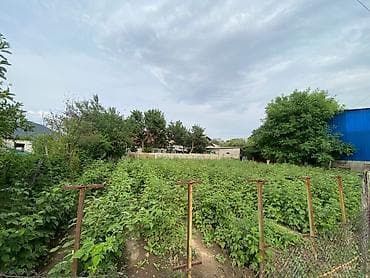 Кыймылсыз мүлк: 5 соток, Курулуш, Кызыл китеп — 1