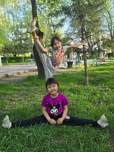 corolla e120: Toyota Camry: 2009 г., 2.4 л, Автомат, Бензин, Седан — 3