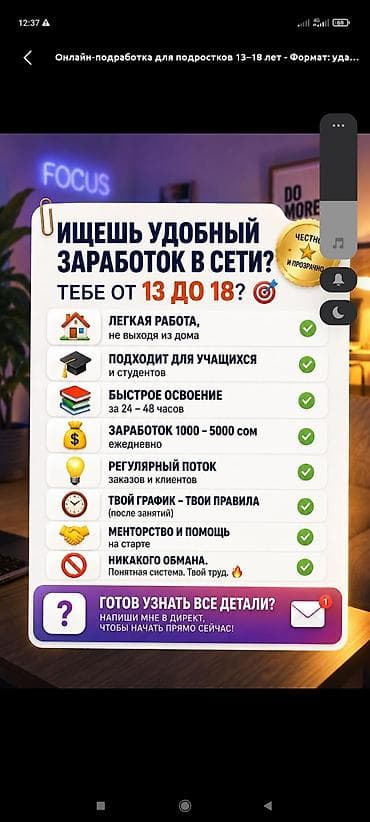 Сетевой маркетинг: Онлайн-подработка для студентов и подростков (г. Бишкек) - Формат — 2