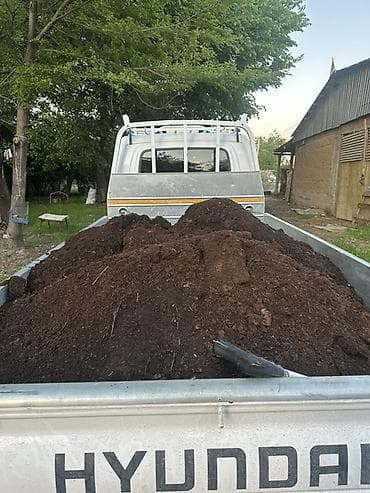 алма голден: Портер — 1