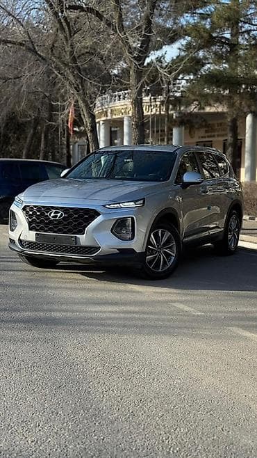 sprinter delfin: Hyundai Santa Fe: 2019 г., 2 л, Автомат, Дизель, Кроссовер — 2