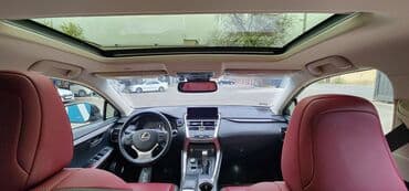 полик нексия 2: Lexus NX: 2019 г., 2.5 л, Вариатор, Гибрид, Кроссовер — 11