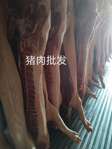 бишкек оптом картошка: Осоо ПромАгро 猪肉批发 На рынке более 10 лет. Оптовая продажа мясо — 4