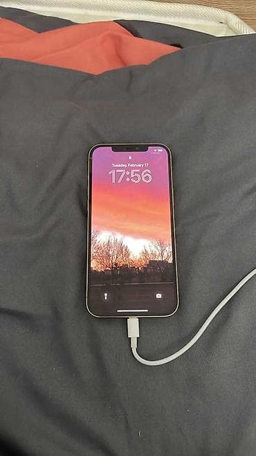 а 80: IPhone 12 Pro Max, Золотой, Кабель — 2