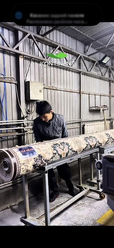 стирки: Стирка ковров, | Ковер, Палас, Бесплатная доставка — 8