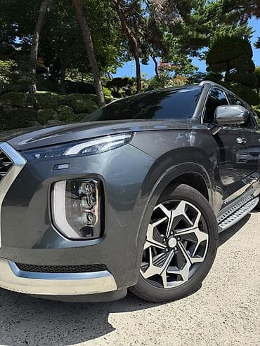 900: Hyundai Palisade: 2021 г., 2.2 л, Автомат, Дизель, Внедорожник — 8