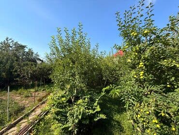 дордой прадаю дом: Дом, 50 м², 2 комнаты, Риэлтор, Косметический ремонт — 16