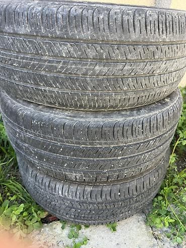 шина 16 сешка: Шины — 1