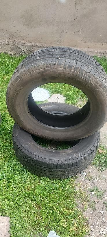 mishelin: Шины 265 / 60 / R 18, Лето, Комплект, Внедорожные (АТ/МТ), Michelin — 1