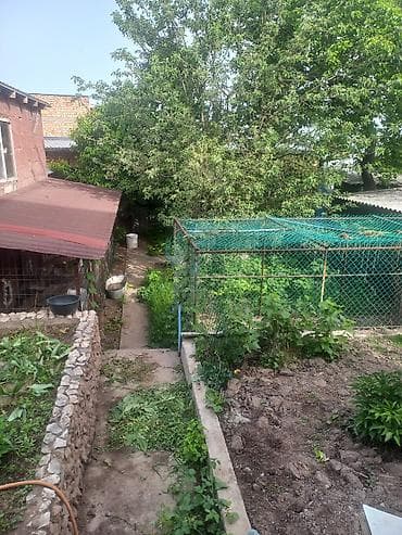 куплю продаж частные дома в бишкеке: Продаю дом - находится в дачном кооперативе Горный ветерок ( Таштар - — 7
