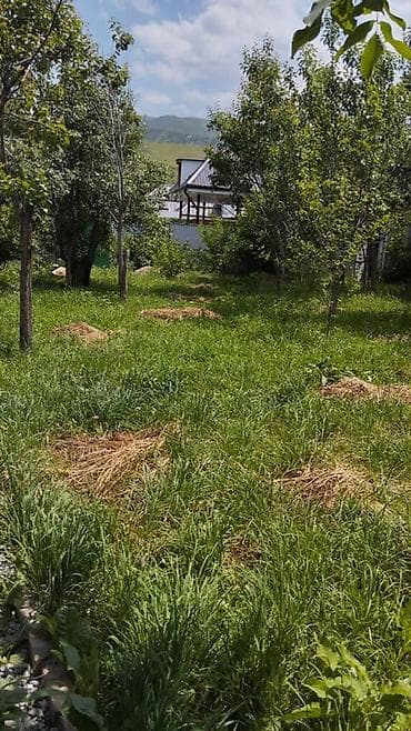 Кыймылсыз мүлк: 5 соток, Курулуш — 1