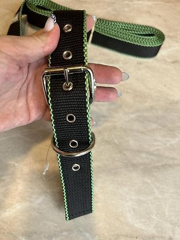 german shepherd: Комплект ошейник+поводок для крупных собак. Амуниция из нейлона — 6