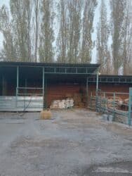 ищу дом в кара балте: Үй, 38 кв. м, 3 бөлмө, Менчик ээси — 9